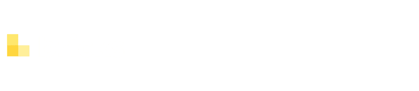 Bricks Builder logo